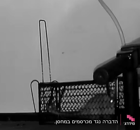 מלכודת עכברים עם עכבר בפנים